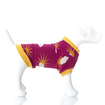spring sky\u2019s dog bandana